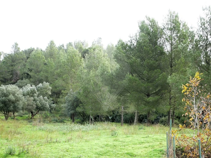 Terreno para Venda em Alhandra, São João dos Montes e Calhandriz Foto 1
