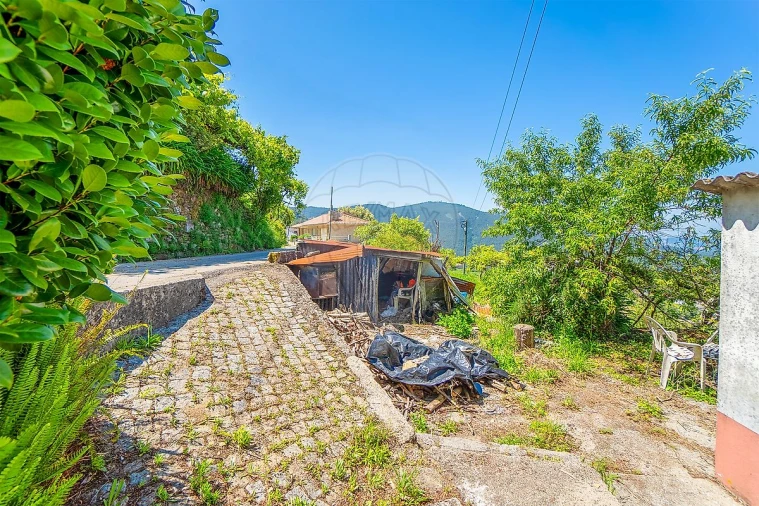 Moradia T3 para Venda em São Pedro de Castelões Foto 5