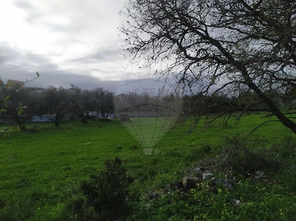 Terreno para Venda em Almargem do Bispo, Pêro Pinheiro e Montelavar Foto 1