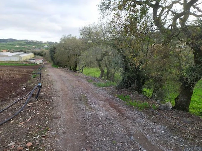 Terreno para Venda em Almargem do Bispo, Pêro Pinheiro e Montelavar Foto 5