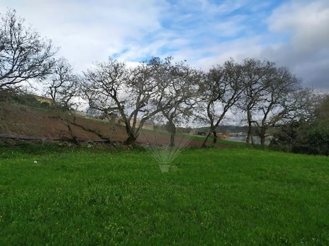 Terreno para Venda em Almargem do Bispo, Pêro Pinheiro e Montelavar Foto 6