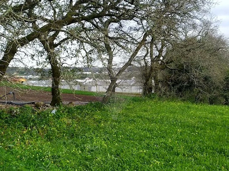Terreno para Venda em Almargem do Bispo, Pêro Pinheiro e Montelavar Foto 9