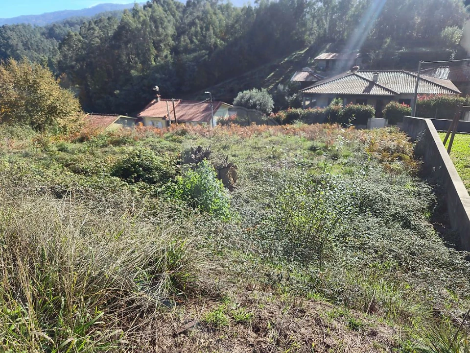 Terreno para Venda em Rossas Foto 9