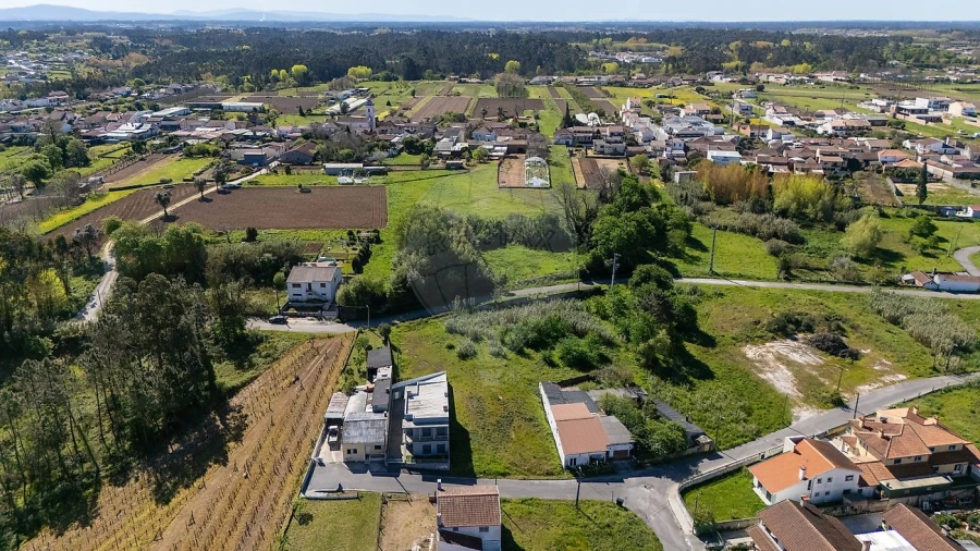 Terreno para Venda em Palhaça Foto 8
