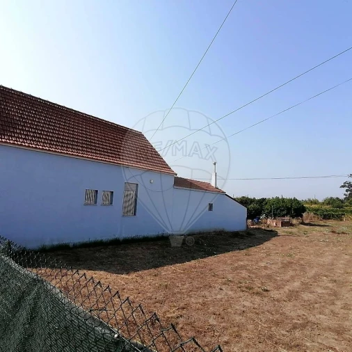 Moradia T3 para Venda em Fermentelos Foto 19