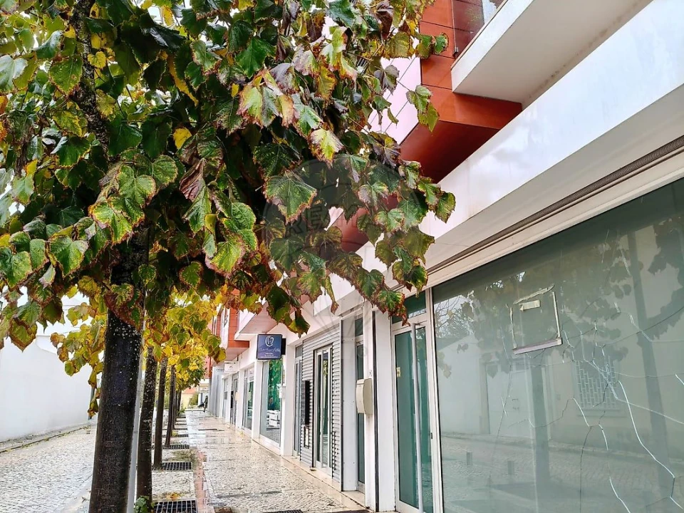 Loja para Venda em Cartaxo e Vale da Pinta Foto 1