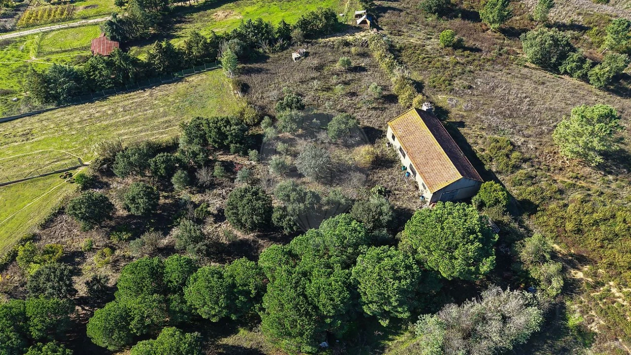 Terreno para Venda em Aveiras de Cima Foto 18