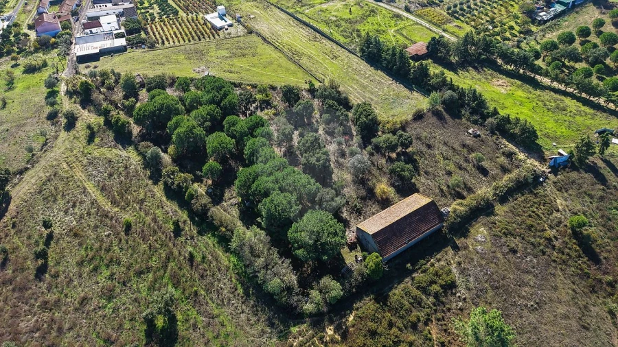 Terreno para Venda em Aveiras de Cima Foto 13