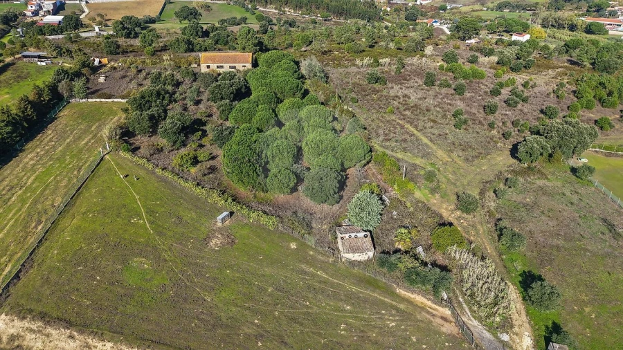 Terreno para Venda em Aveiras de Cima Foto 3