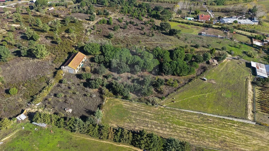 Terreno para Venda em Aveiras de Cima Foto 8