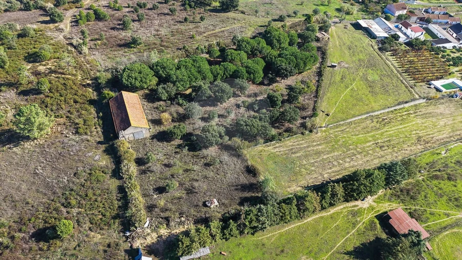 Terreno para Venda em Aveiras de Cima Foto 9