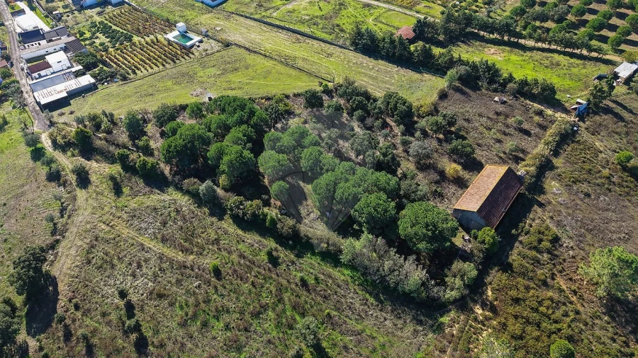 Terreno para Venda em Aveiras de Cima Foto 11