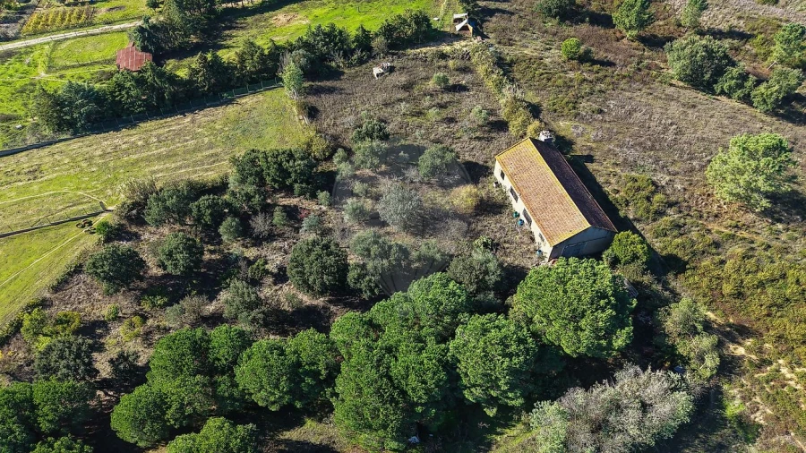 Terreno para Venda em Aveiras de Cima Foto 18