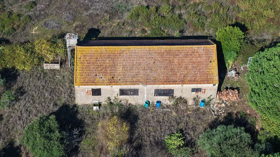 Terreno para Venda em Aveiras de Cima Foto 22