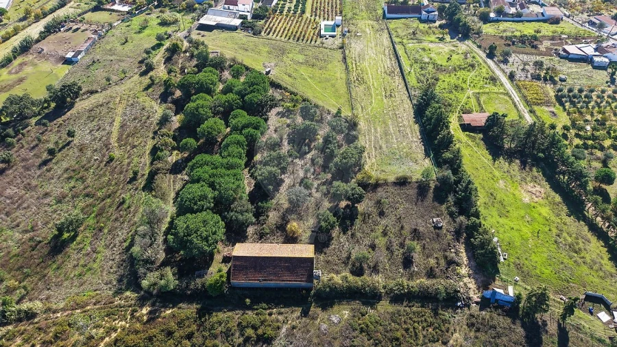 Terreno para Venda em Aveiras de Cima Foto 12