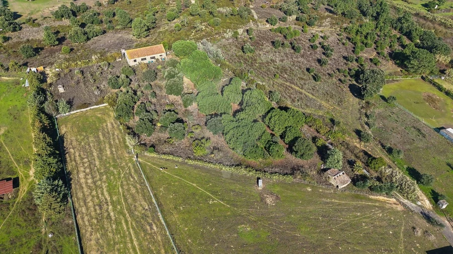 Terreno para Venda em Aveiras de Cima Foto 5