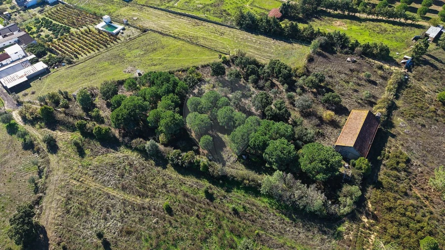 Terreno para Venda em Aveiras de Cima Foto 16