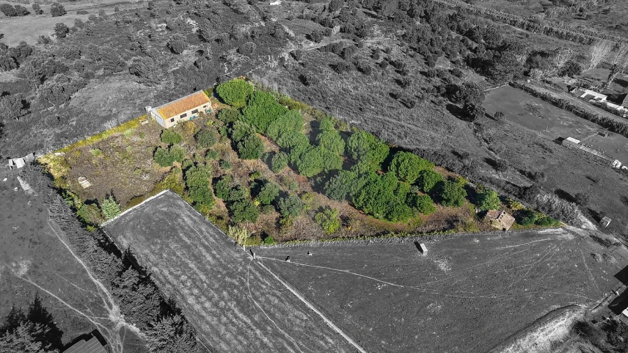 Terreno para Venda em Aveiras de Cima