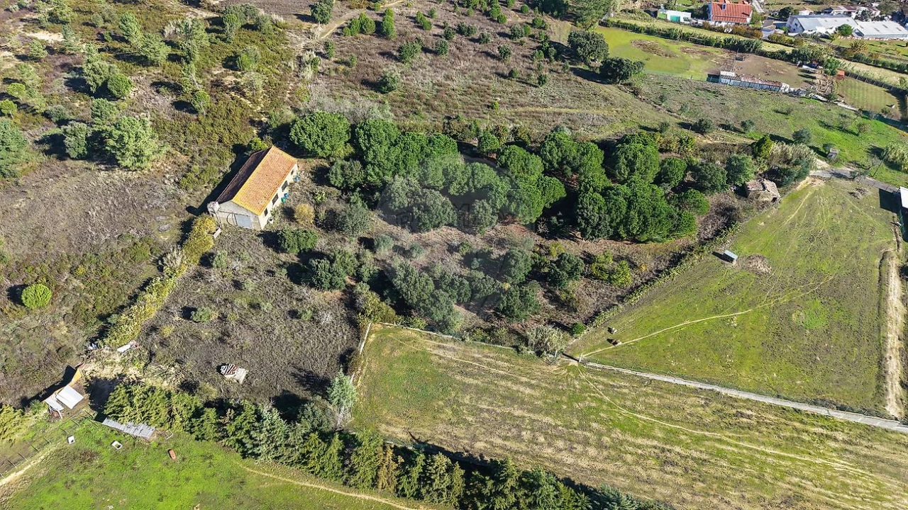 Terreno para Venda em Aveiras de Cima Foto 10