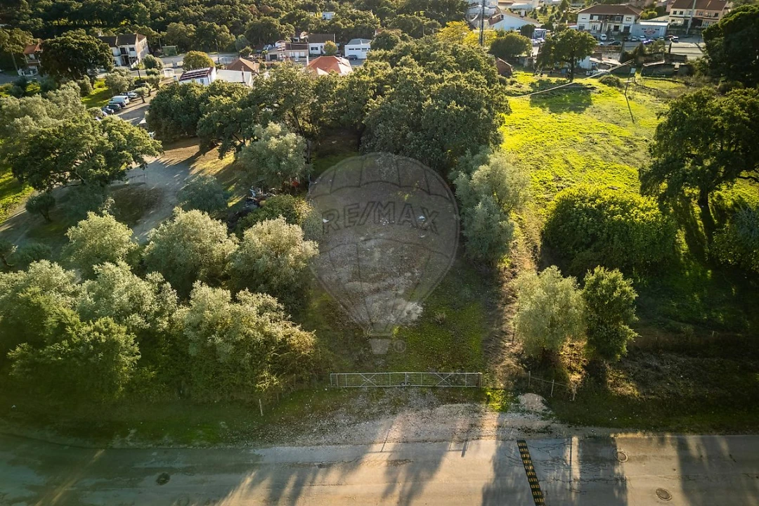 Terreno para Venda em Rio Maior Foto 20