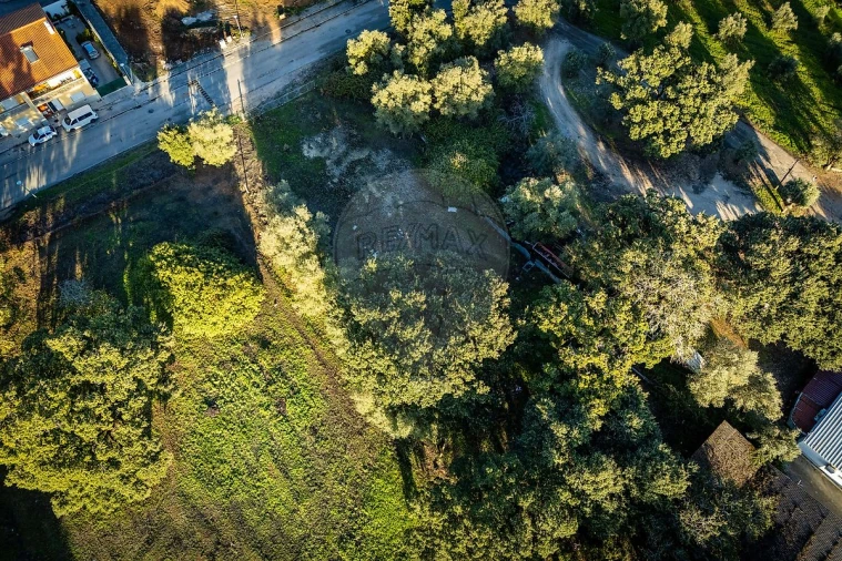 Terreno para Venda em Rio Maior Foto 39