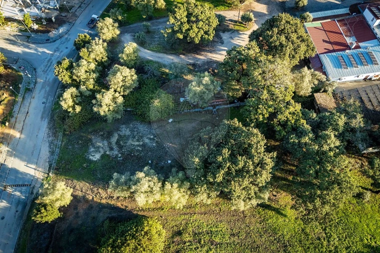 Terreno para Venda em Rio Maior Foto 38