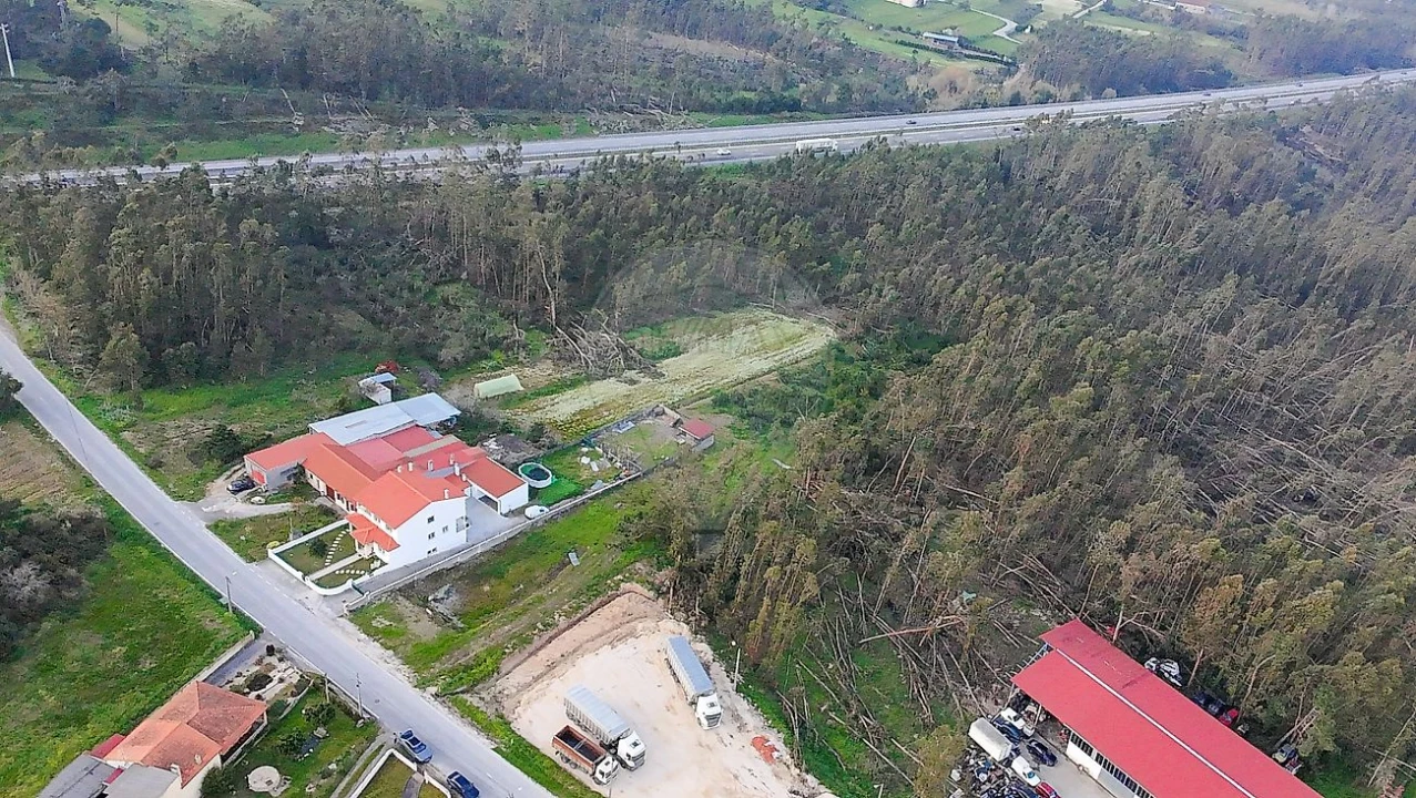 Terreno para Venda em Alqueidão Foto 3
