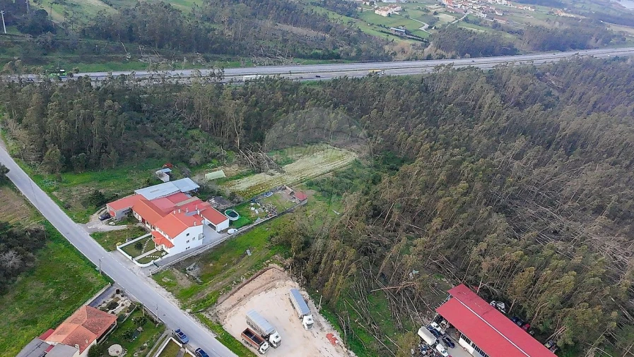 Terreno para Venda em Alqueidão Foto 2