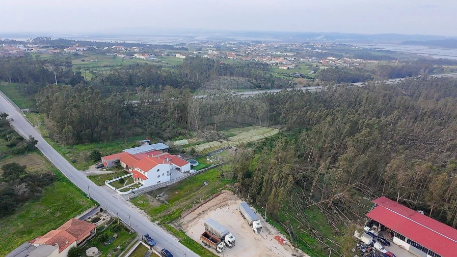 Terreno para Venda em Alqueidão Foto 7