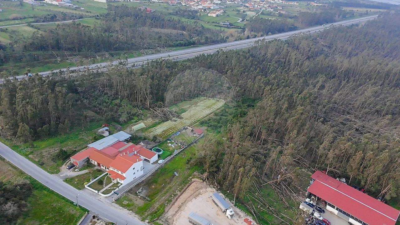 Terreno para Venda em Alqueidão Foto 4