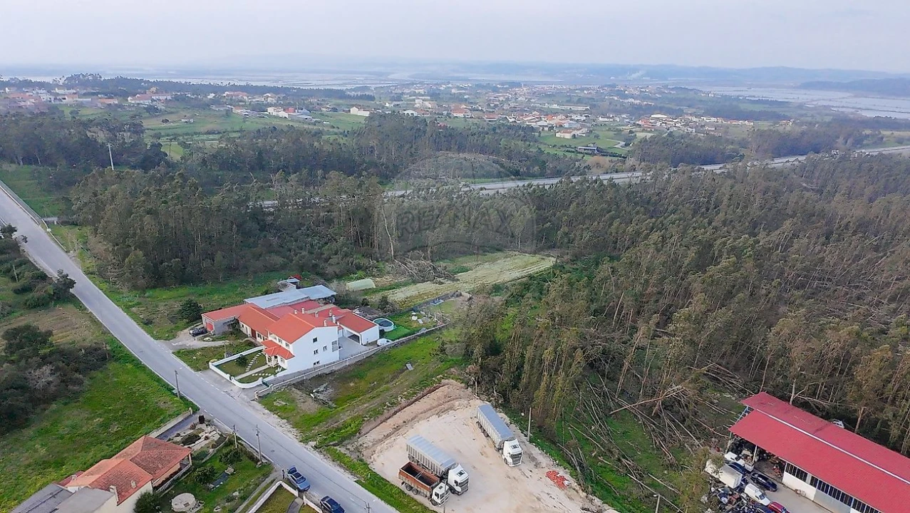 Terreno para Venda em Alqueidão Foto 7