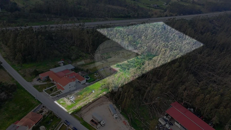 Terreno para Venda em Alqueidão
