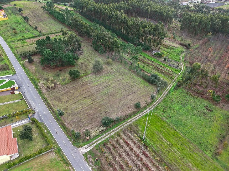 Terreno para Venda em Alqueidão Foto 6