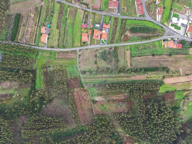 Terreno para Venda em Alqueidão Foto 9