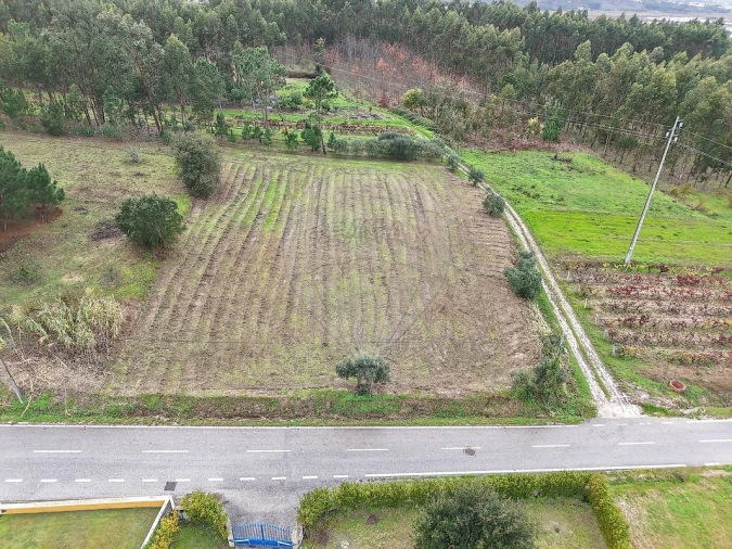 Terreno para Venda em Alqueidão Foto 4