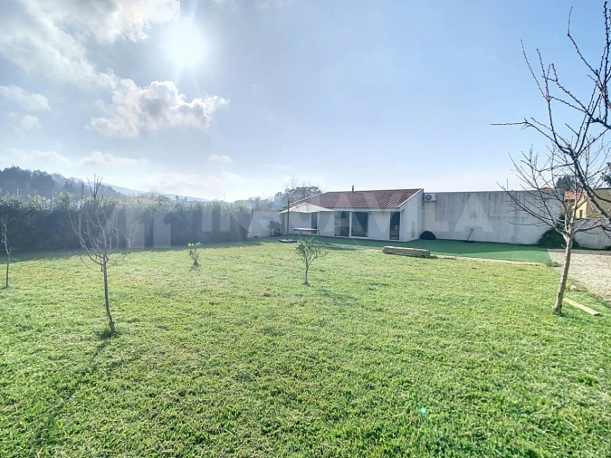 Terreno para Venda em Seixas Foto 3