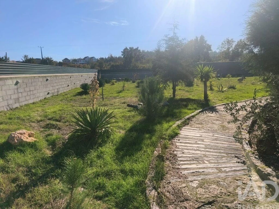 Quinta para Venda em Ervedal e Vila Franca da Beira Foto 16