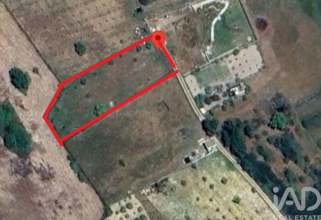 Quinta para Venda em Ervedal e Vila Franca da Beira Foto 25