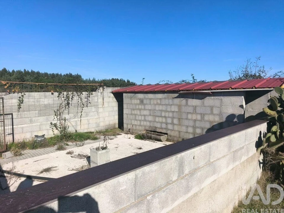 Quinta para Venda em Ervedal e Vila Franca da Beira Foto 3
