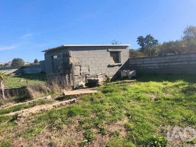 Quinta para Venda em Ervedal e Vila Franca da Beira Foto 8