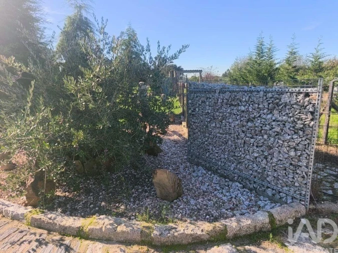 Quinta para Venda em Ervedal e Vila Franca da Beira Foto 19