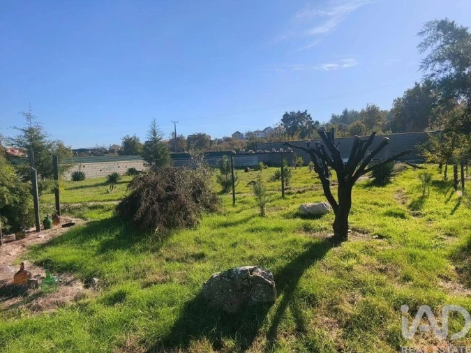 Quinta para Venda em Ervedal e Vila Franca da Beira Foto 12