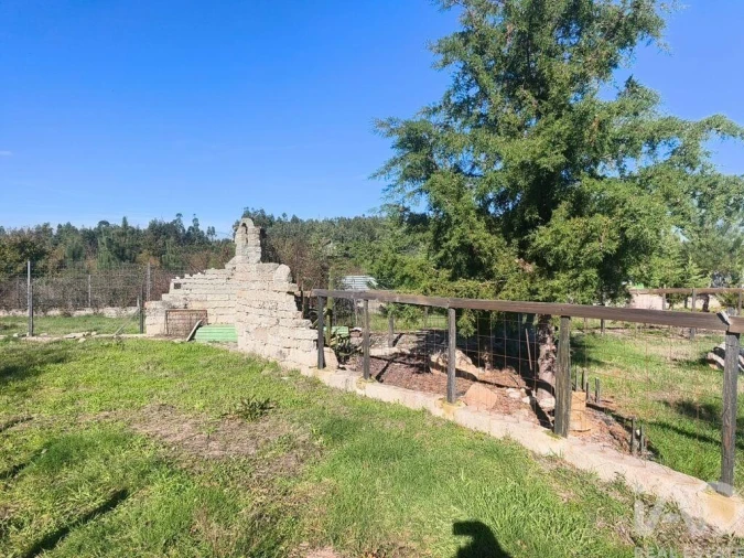 Quinta para Venda em Ervedal e Vila Franca da Beira Foto 11