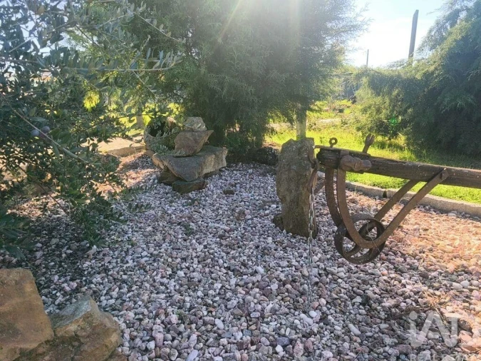 Quinta para Venda em Ervedal e Vila Franca da Beira Foto 13