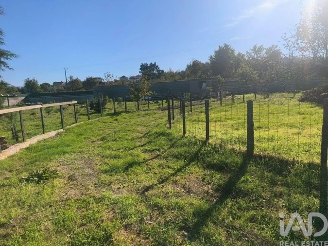 Quinta para Venda em Ervedal e Vila Franca da Beira Foto 6