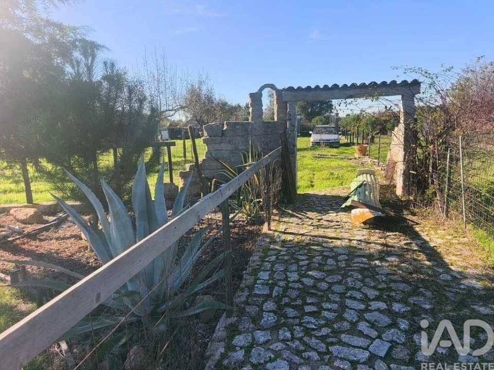 Quinta para Venda em Ervedal e Vila Franca da Beira Foto 21