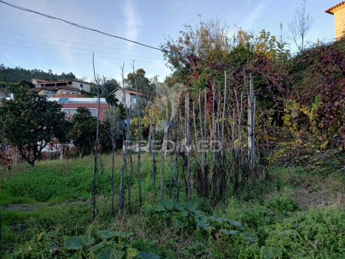 Terreno para Venda em Valdosende Foto 4