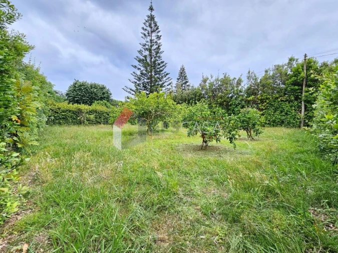 Moradia T5 para Venda em São Mateus da Calheta Foto 28