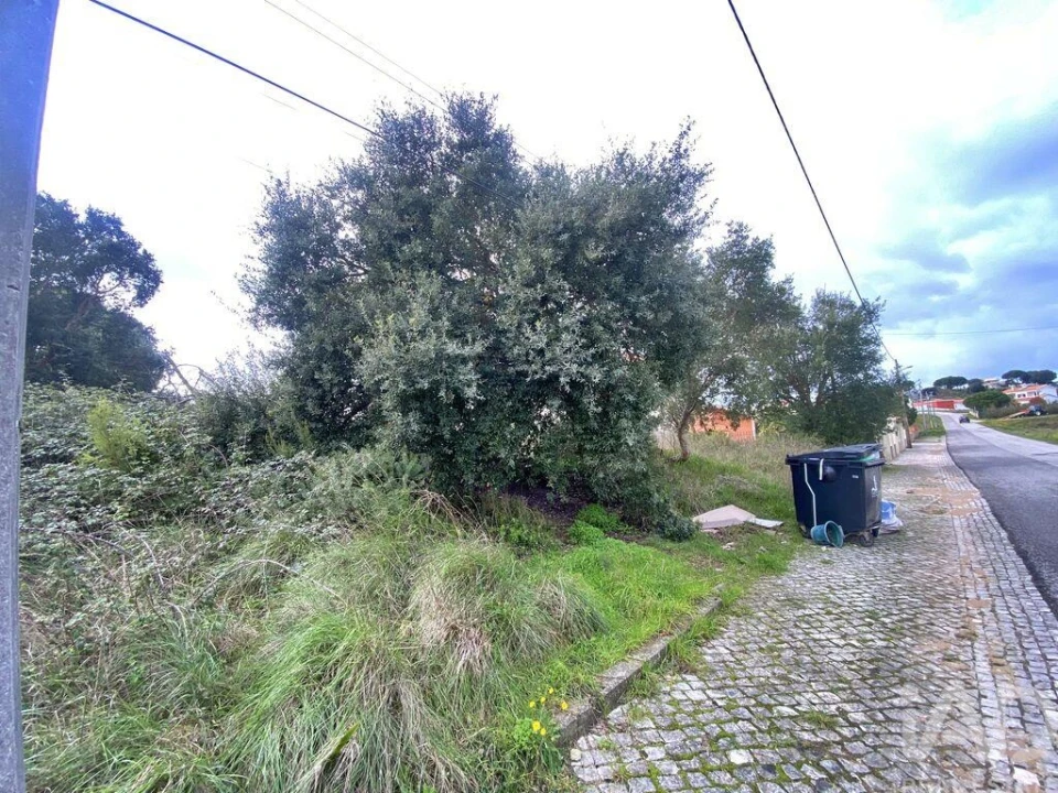 Terreno para Venda em Caldas da Rainha - Santo Onofre e Serra do Bouro Foto 9