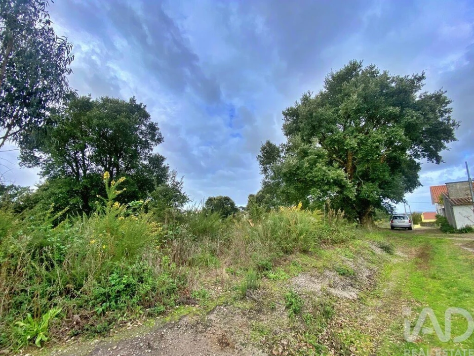 Terreno para Venda em Caldas da Rainha - Santo Onofre e Serra do Bouro Foto 13